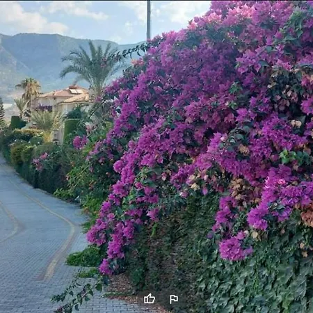 Sea View Apartment 2+1 Gold City 2 Floors * Alanya